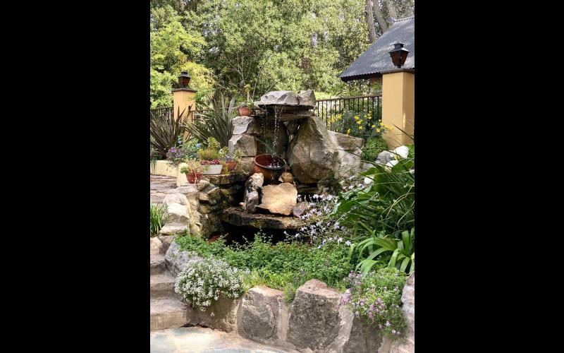 Back Patio